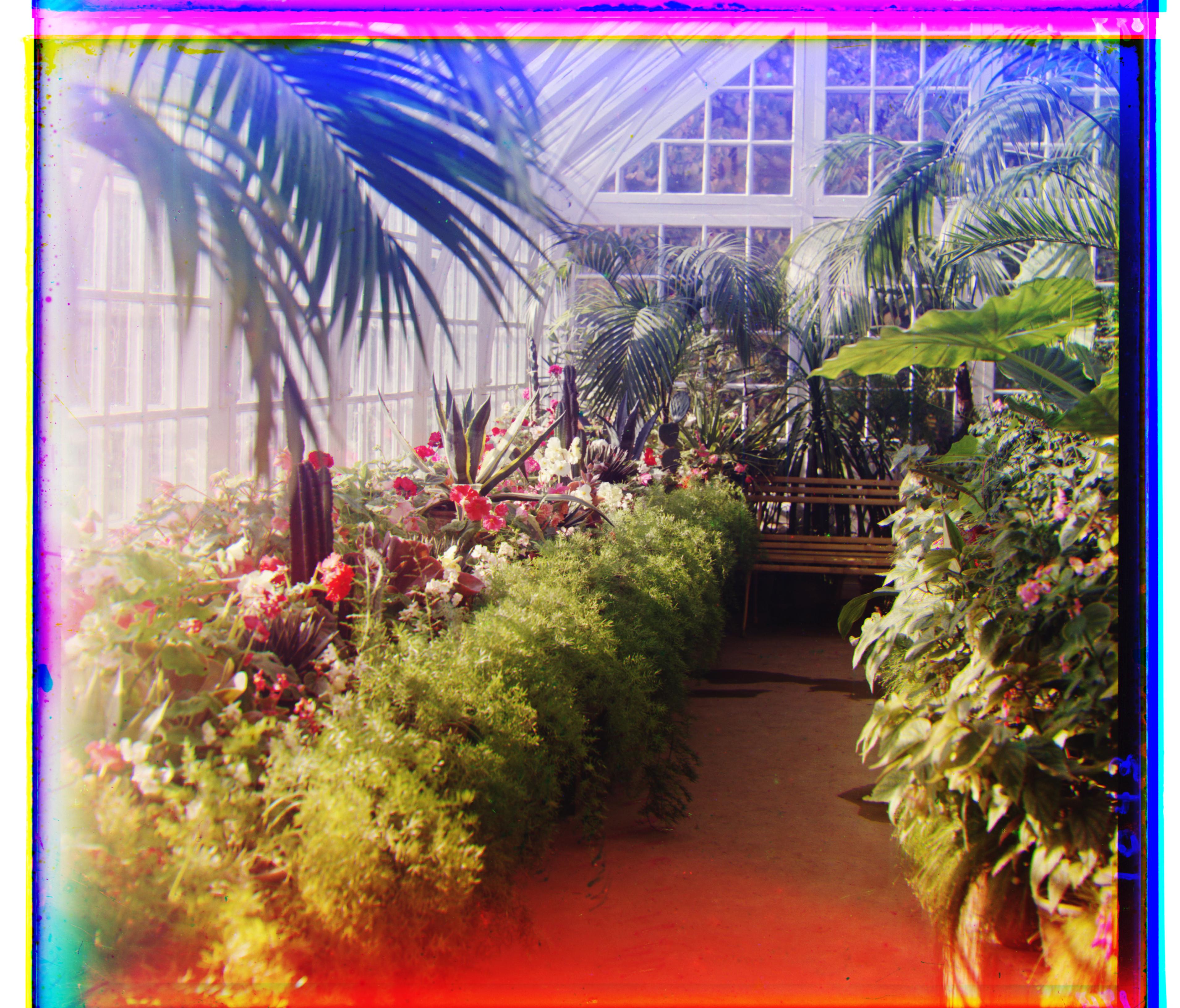 greenhouse